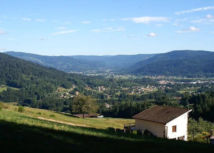 Blanche-roche, En Lisiere De Foret * Cleurie